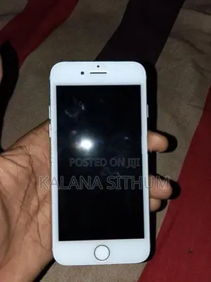 Apple iPhone 7 (Used)