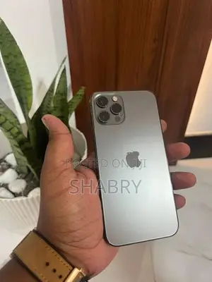 Apple iPhone 12 Pro 256GB (Used)