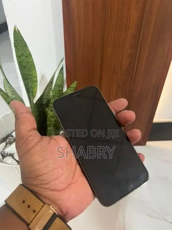 Apple iPhone 12 Pro 256GB (Used)