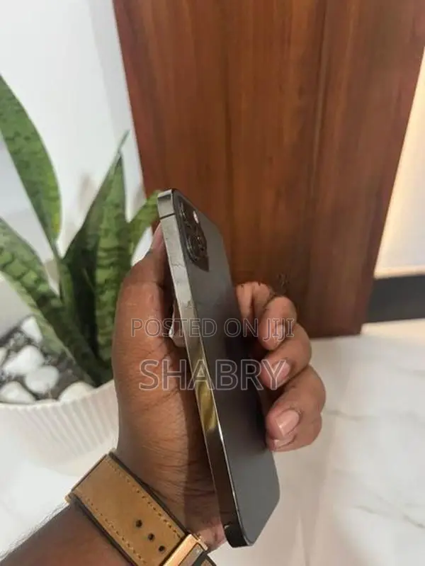 Apple iPhone 12 Pro 256GB (Used)