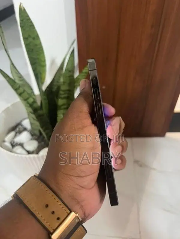 Apple iPhone 12 Pro 256GB (Used)
