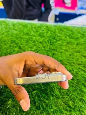 Apple iPhone 16 Pro (Used)