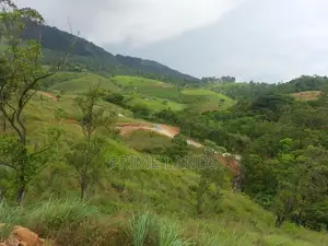 Land for Sale in Deltota