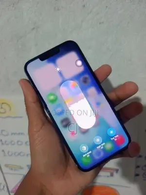 Apple iPhone 13 128GB (Used)