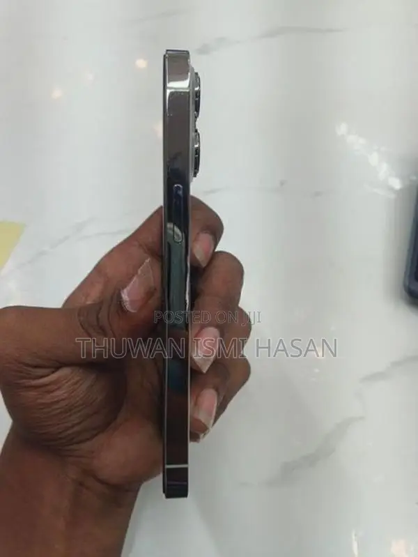 Apple iPhone 13 Pro Japan (Used)