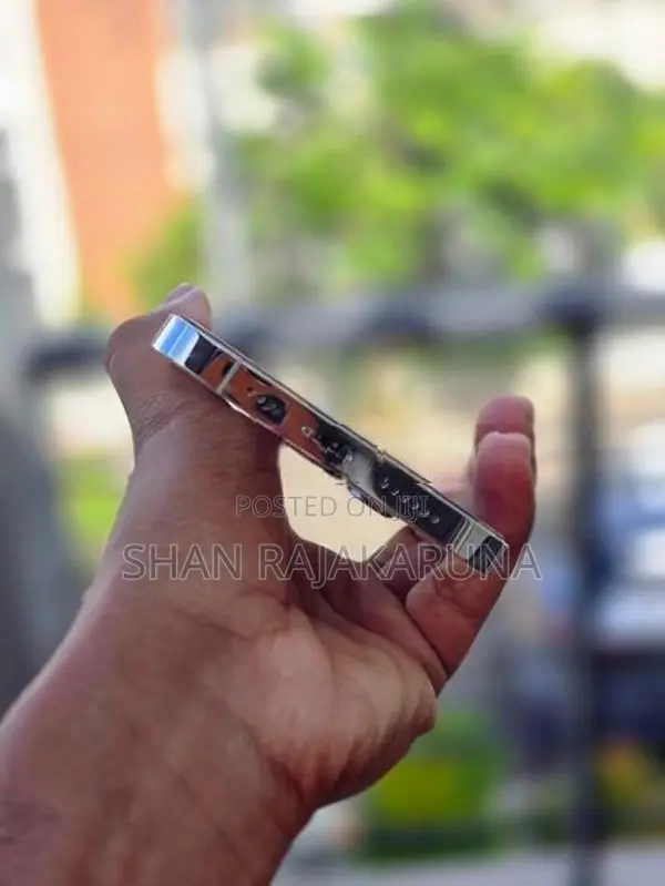 Apple iPhone 13 Pro Max (Used)