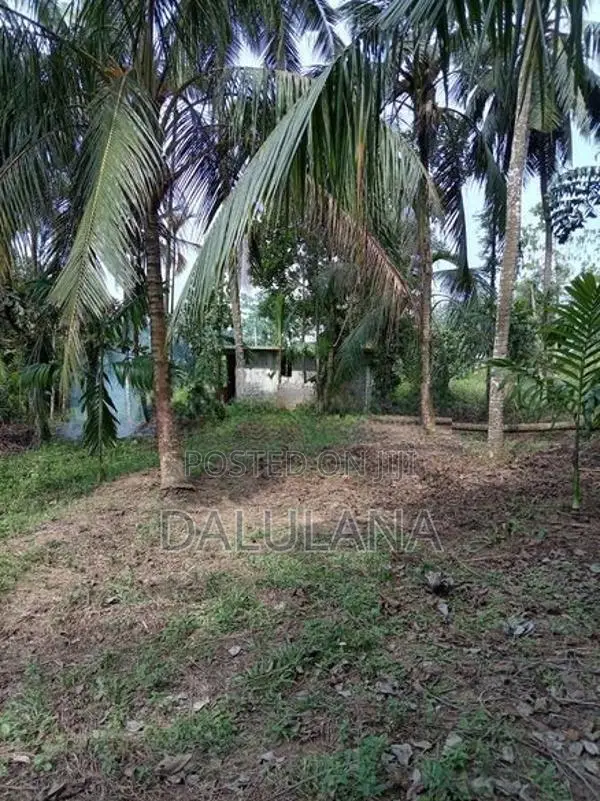 60 Perches With House In Homagama Panagoda