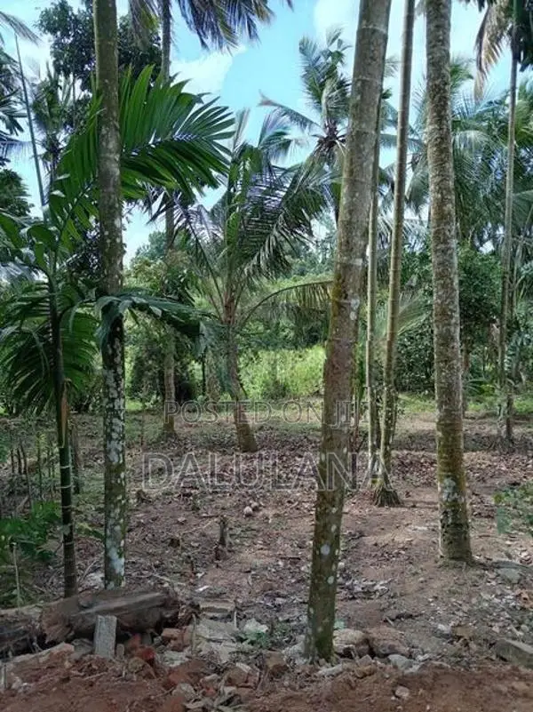60 Perches With House In Homagama Panagoda