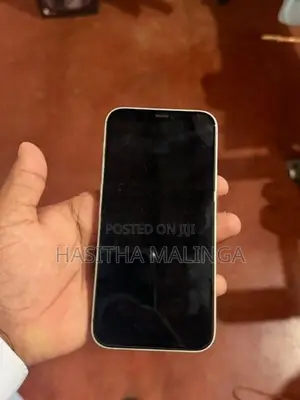 Apple iPhone 12 (Used)