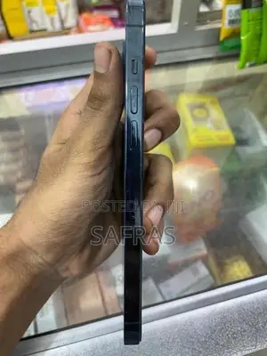 Apple iPhone 12 Pro Max (Used)