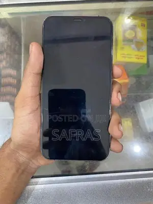 Apple iPhone 12 Pro Max (Used)