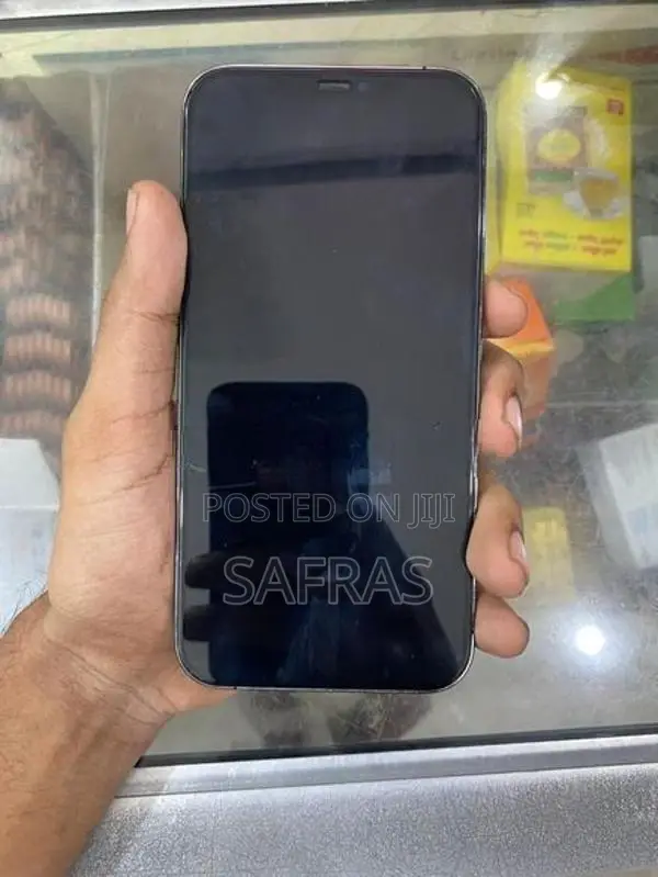 Apple iPhone 12 Pro Max (Used)