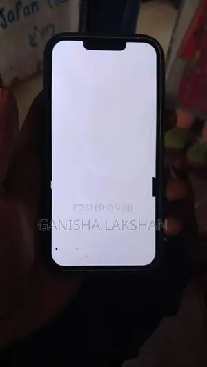Apple iPhone 13 (Used)