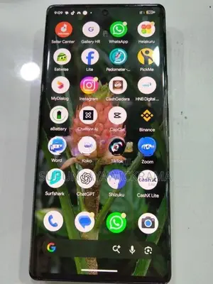 Google Pixel 6 Pro (Used)