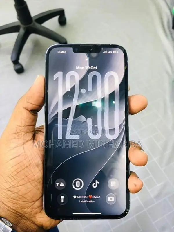 Apple iPhone 13 Pro Max (Used)