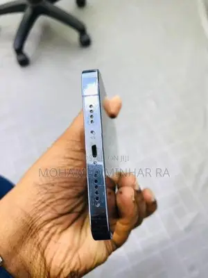 Apple iPhone 13 Pro Max (Used)