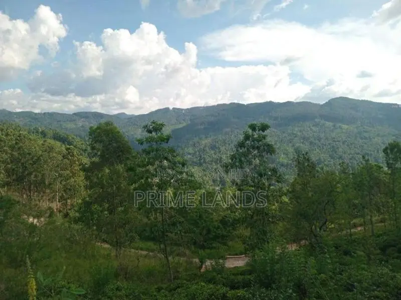 Land for Sale Nillamba