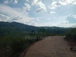 Land for Sale Nillamba