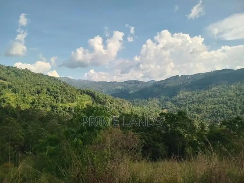 Land for Sale Nillamba