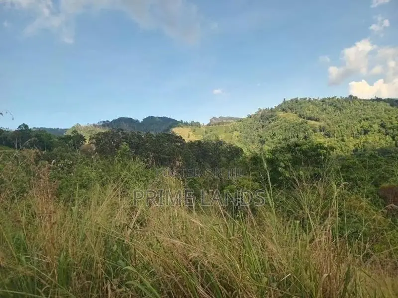Land for Sale Galaha