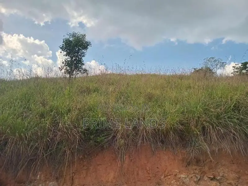Land for Sale Galaha