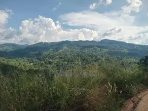 Land for Sale Galaha