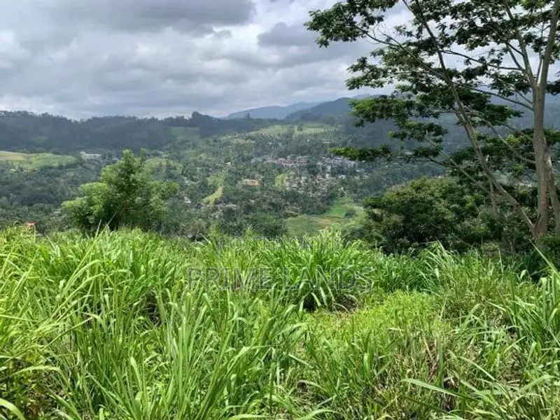 Land for Sale Pussellawa