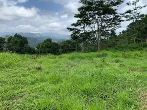 Land for Sale Pussellawa