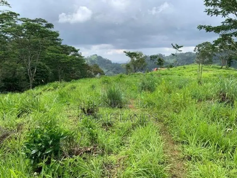 Land for Sale Pussellawa