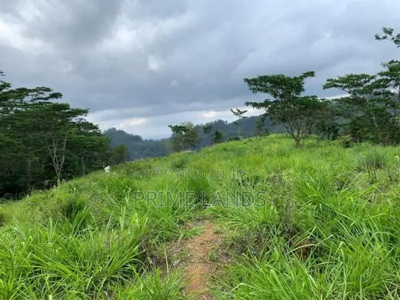 Land for Sale Pussellawa