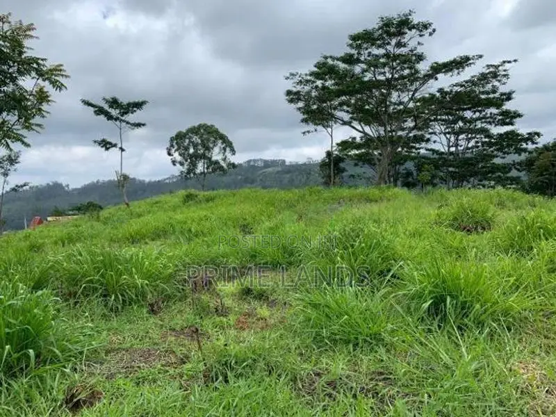 Land for Sale Pussellawa