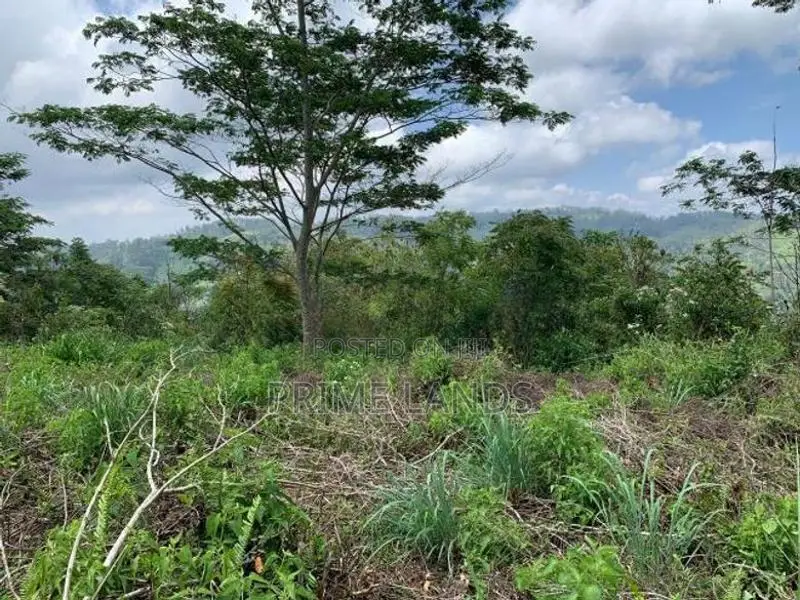 Land for Sale Pussellawa