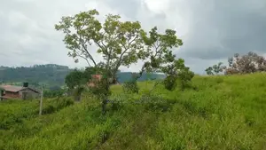 Land for Sale Pussellawa