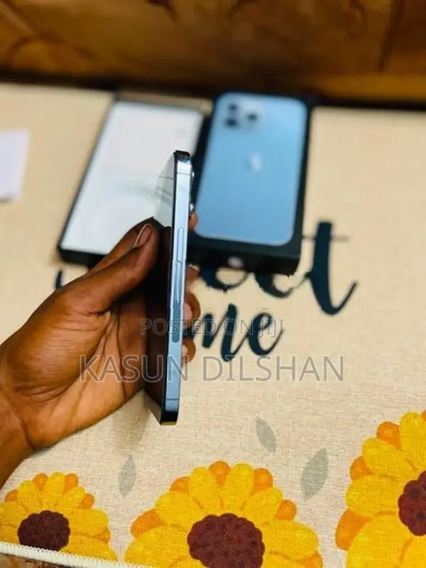Apple iPhone 13 Pro (Used)