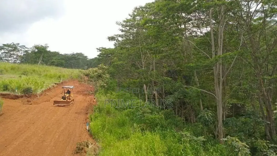 Land for Sale Pussellawa
