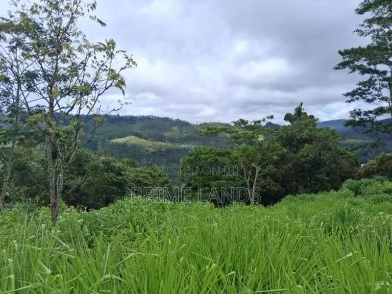 Land for Sale Pussellawa