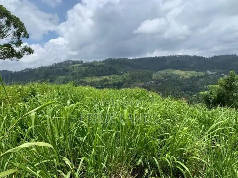 Land for Sale Pussellawa