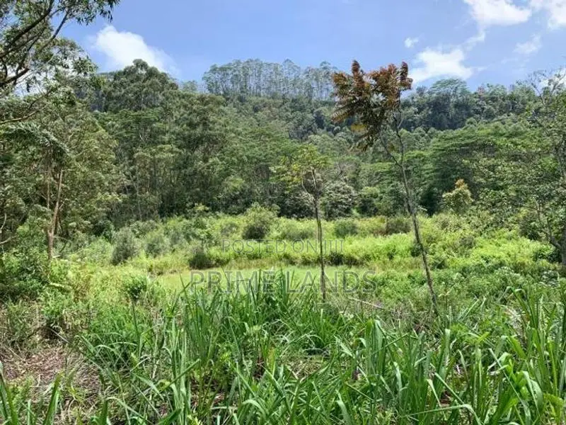 Land for Sale Pussellawa