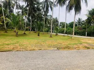 නේවාසික කෘෂිකාර්මික බිම්කොටසක් විකිනීමට හල්තොට