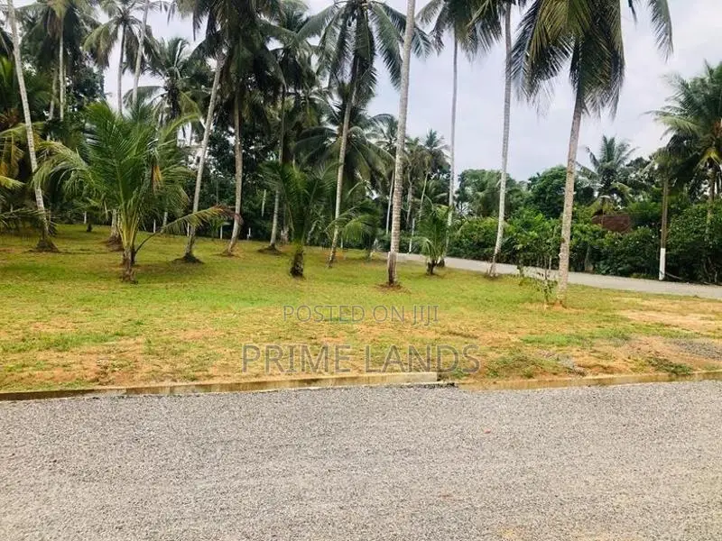 නේවාසික කෘෂිකාර්මික බිම්කොටසක් විකිනීමට හල්තොට