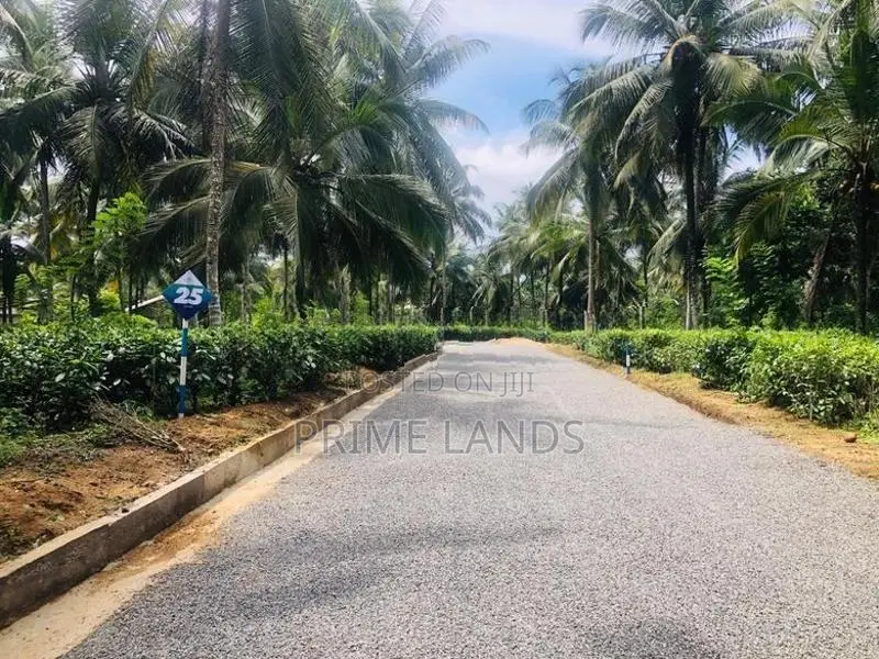 නේවාසික කෘෂිකාර්මික බිම්කොටසක් විකිනීමට හල්තොට