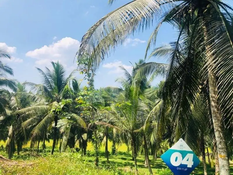 නේවාසික කෘෂිකාර්මික බිම්කොටසක් විකිනීමට හල්තොට
