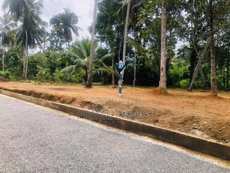 නේවාසික කෘෂිකාර්මික බිම්කොටසක් විකිනීමට හල්තොට