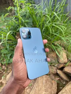 Apple iPhone 12 Pro Max (Used)