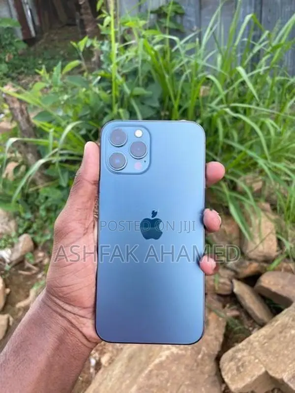 Apple iPhone 12 Pro Max (Used)