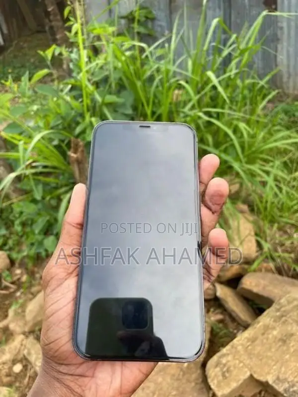 Apple iPhone 12 Pro Max (Used)
