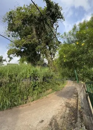 Land for Sale in Aniwaththa, Kandy
