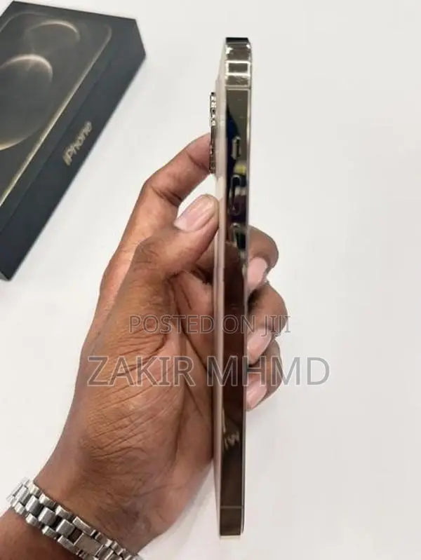 Apple iPhone 12 Pro Max (Used)