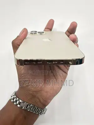 Apple iPhone 12 Pro Max (Used)