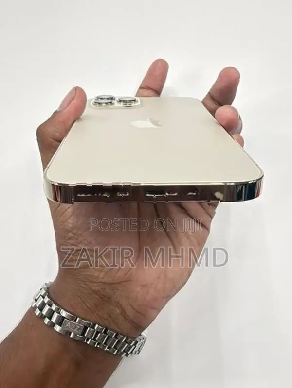 Apple iPhone 12 Pro Max (Used)